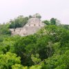 calakmul_10
