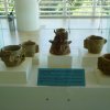p1000769