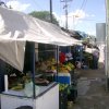 leona_vicario_markt_02