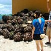 tequila_museum_08